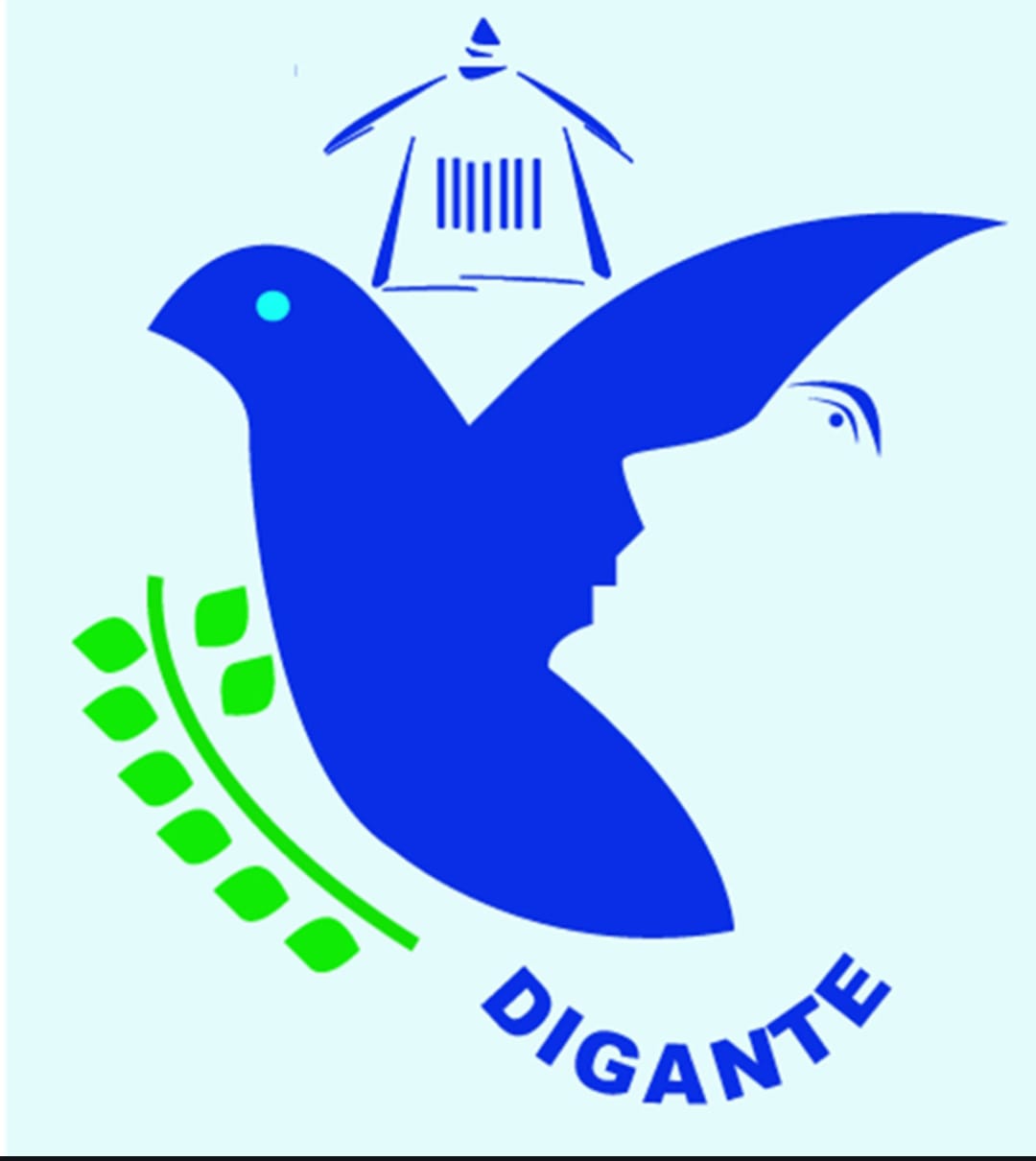 Digante Old Age Home